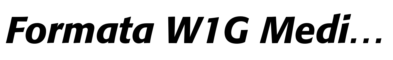Formata W1G Medium Italic